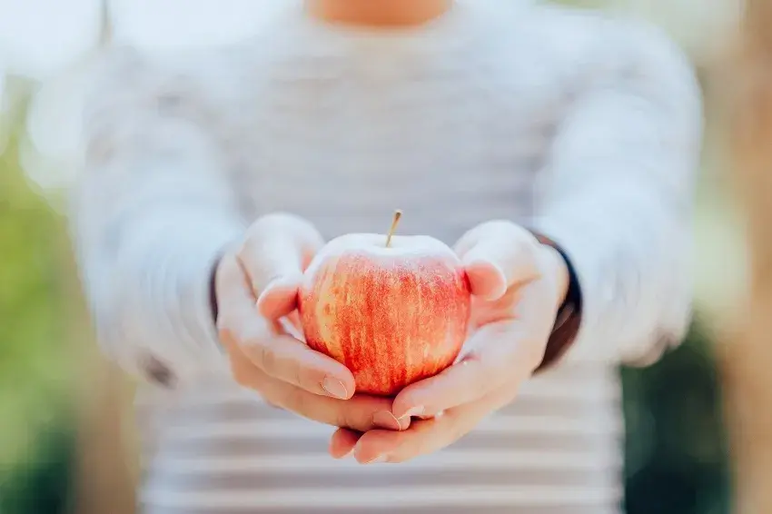 Bild Apfel wird in Händen gehalten